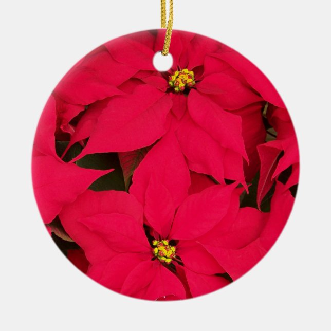 A bunch of Brightly Coloured Christmas Poinsettias Ceramic Tree Decoration (Front)