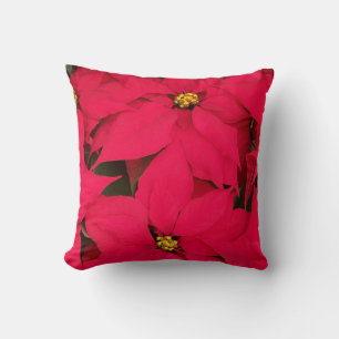 A bunch of Brightly Coloured Christmas Poinsettias Cushion