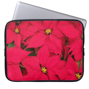 A bunch of Brightly Coloured Christmas Poinsettias Laptop Sleeve