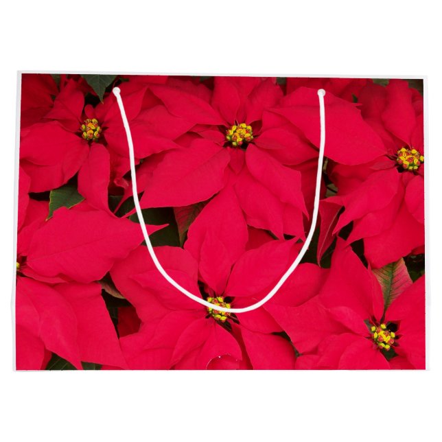A bunch of Brightly Coloured Christmas Poinsettias Large Gift Bag (Back)