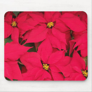 A bunch of Brightly Coloured Christmas Poinsettias Mouse Mat