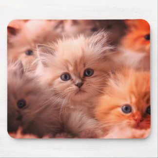 A Bunch Of Cute Kittens on a Laptop Desktop Tablet Mouse Mat