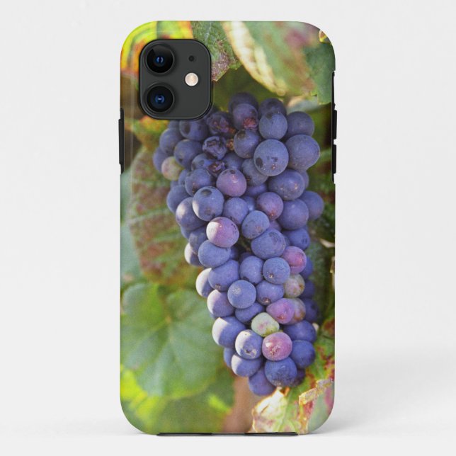 A bunch of Pinot Noir grapes in a Chambertin Case-Mate iPhone Case (Back)