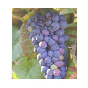 A bunch of Pinot Noir grapes in a Chambertin Notepad