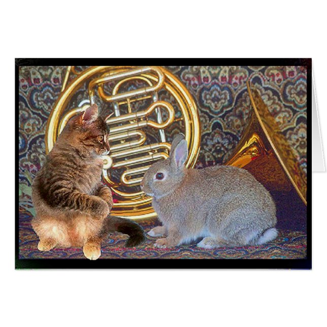 A bunny, a kitten and a French horn (Front Horizontal)