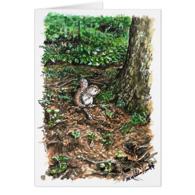 A busy squirrel (Front)