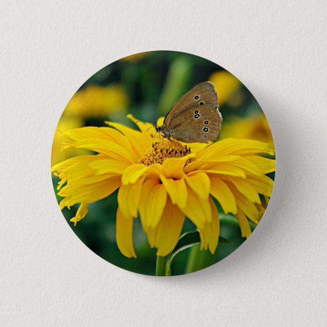 A butterfly on a yellow flower button (Front)
