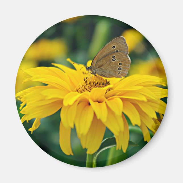 A butterfly on a yellow flower magnet (Front)