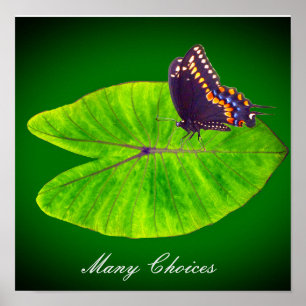 A butterfly's choices poster