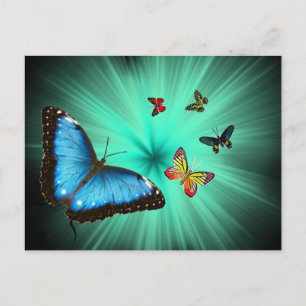A Butterflys Journey Postcard