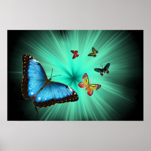 A Butterflys Journey Poster