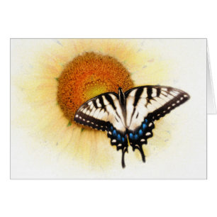 A Butterfly's Wings
