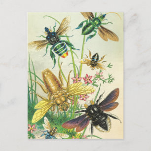 A Buzz of Beautiful Bees Postcards
