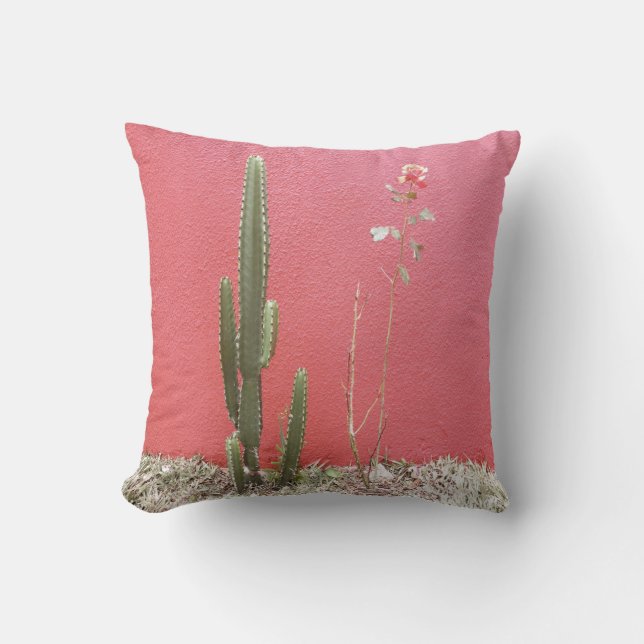 A cactus and a rose cushion (Front)