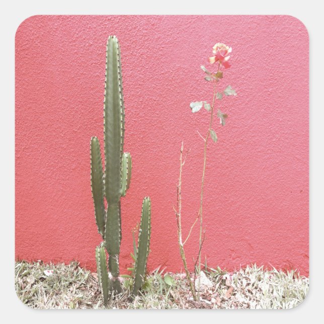 A cactus and a rose square sticker (Front)