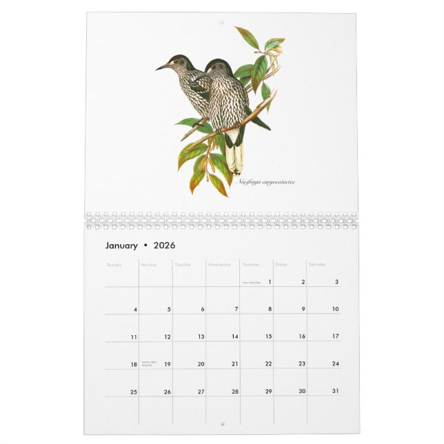 A calendar of bird painitings from John Gould. (Jan 2026)