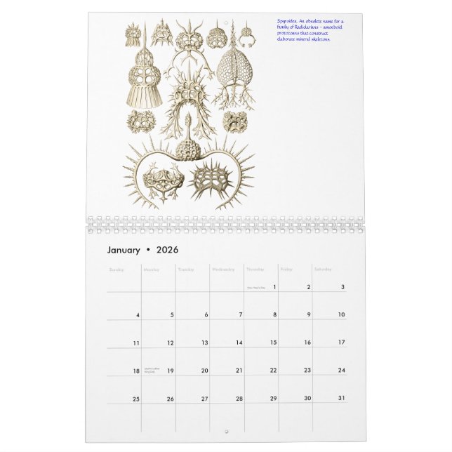 A calendar of microscopic plants and animals. (Jan 2026)