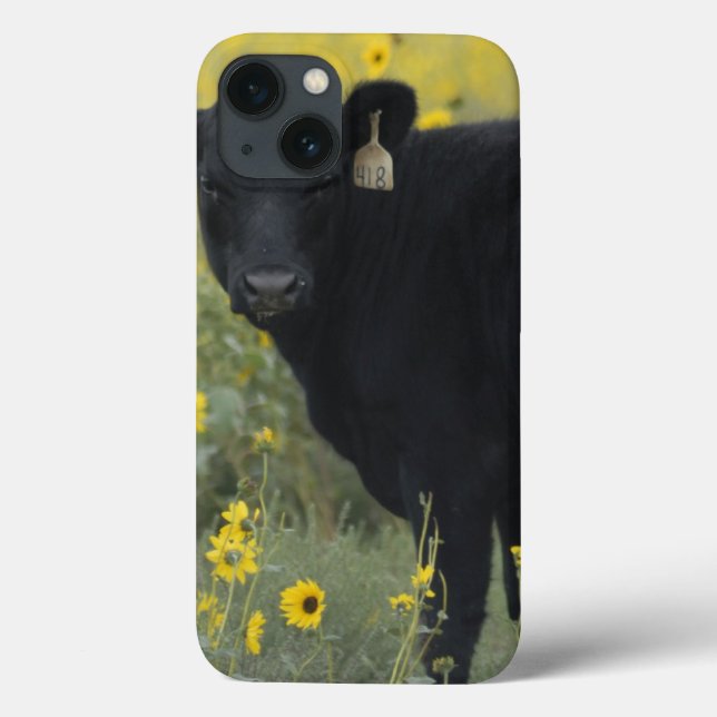 A calf amid the sunflowers of the Nebraska Case-Mate iPhone Case (Back)