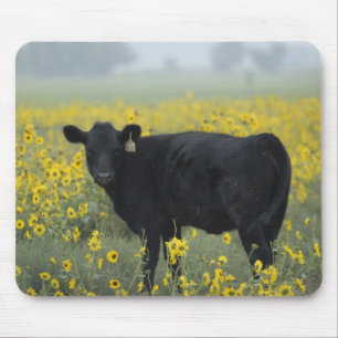 A calf amid the sunflowers of the Nebraska Mouse Mat