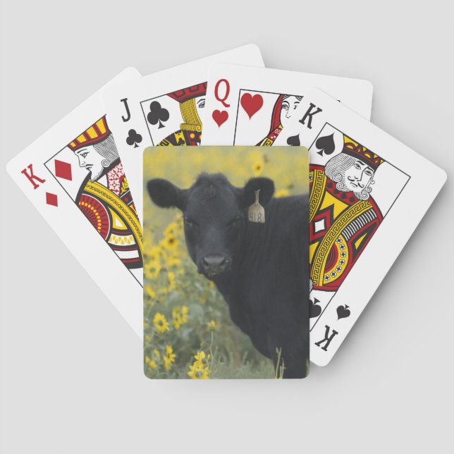A calf amid the sunflowers of the Nebraska Playing Cards (Back)