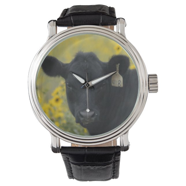 A calf amid the sunflowers of the Nebraska Watch (Front)