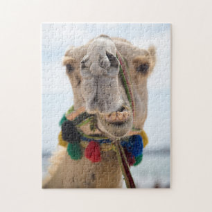 A Camel Smile Jigsaw Puzzle