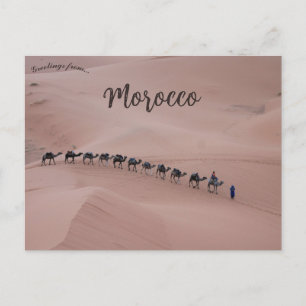 A Camel Train in Merzouga Morocco Postcard