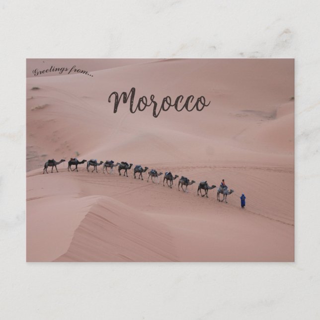  A Camel Train in Merzouga Morocco Postcard (Front)