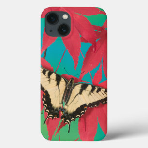 A Canadian Tiger Swallowtail Butterfly iPhone 13 Case