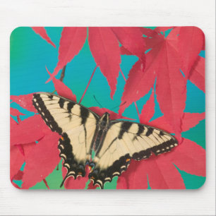 A Canadian Tiger Swallowtail Butterfly Mouse Mat