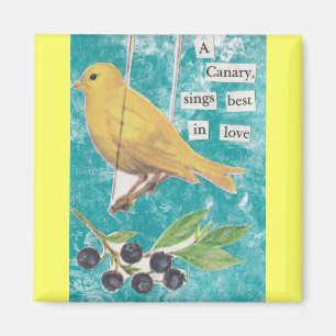 A Canary, Sings Best in Love Magnet