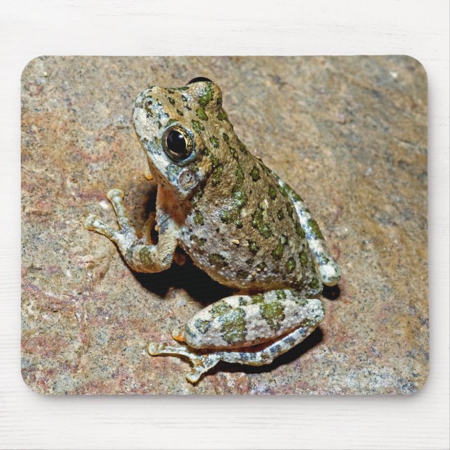 A Canyon Treefrog Mouse Mat (Front)