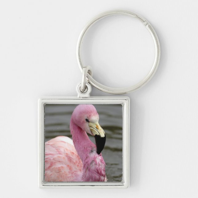 A captive photo of a Andean Flamingo Key Ring (Front)