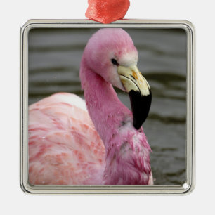 A captive photo of a Andean Flamingo Metal Tree Decoration