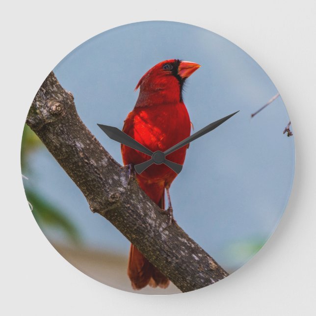 A Cardinal Acrylic Wall Clock, Round Large Clock (Front)