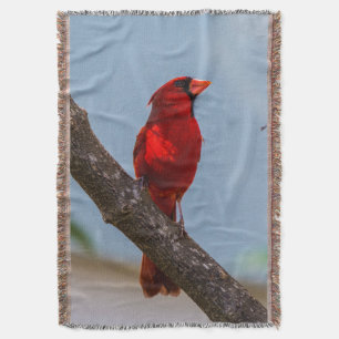 A Cardinal Throw Blanket