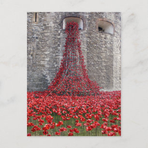 A Cascade Of Poppies At The Tower Of London Postcard