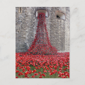 A Cascade Of Poppies At The Tower Of London Postcard