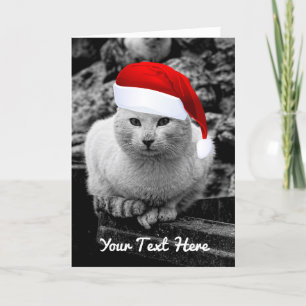 A Cat Black & White With Santa Hat Greeting Cards