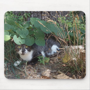 A Cat hiding Mouse Mat