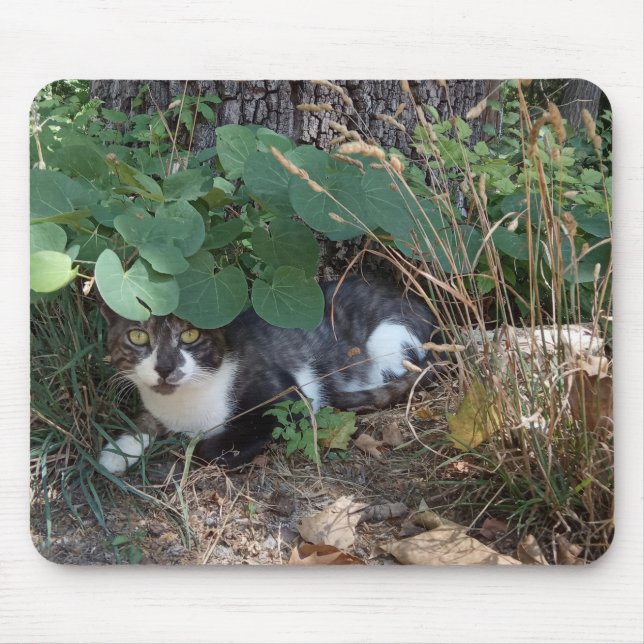 A Cat hiding Mouse Mat (Front)