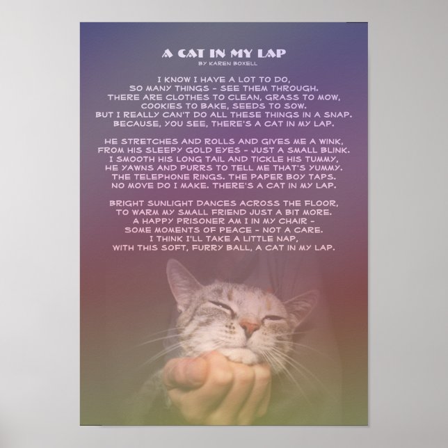 A Cat in My Lap Poster (Front)