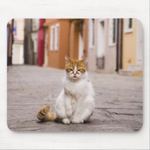 A cat in the streets of Burano, Italy. 2006. Mouse Mat