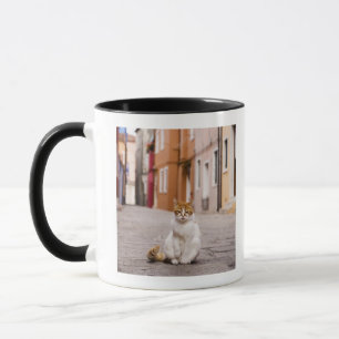 A cat in the streets of Burano, Italy. 2006. Mug