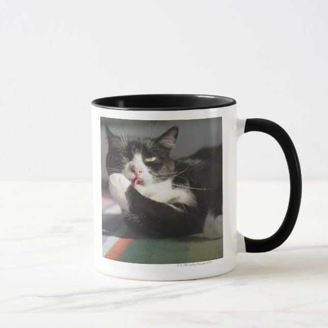 A Cat Licking It's Paw Mug (Right)