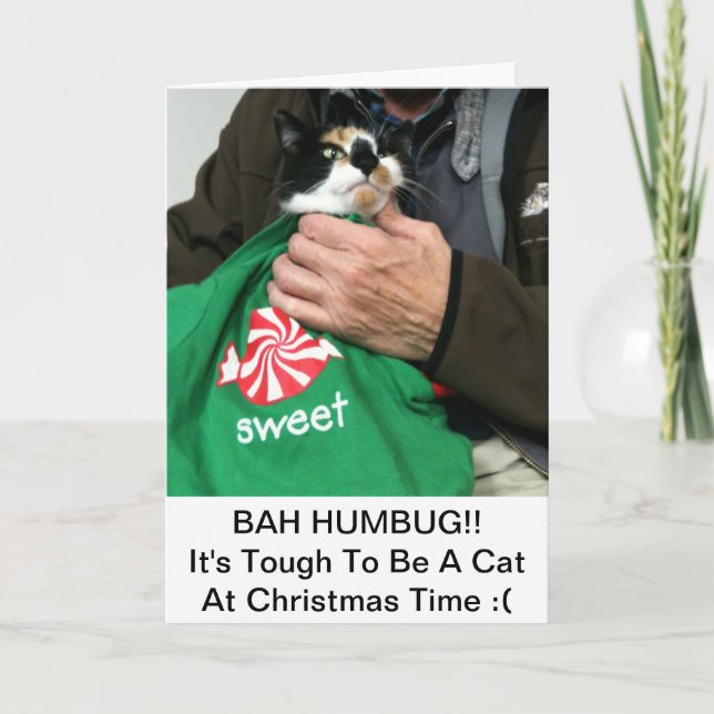 A Cat Lovers Christmas Card!!! Holiday Card (Front)