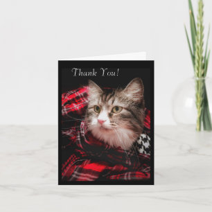 A Cat Lover's Thank You Note Card