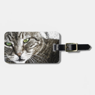 a cat luggage tag