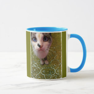 A Cat May Look At A King funny cup