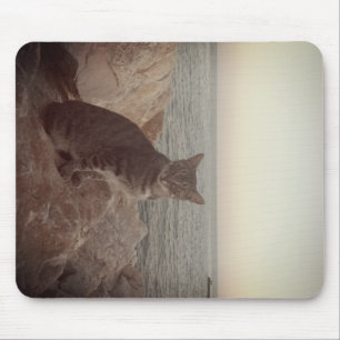 A Cat Mode Mouse Mat